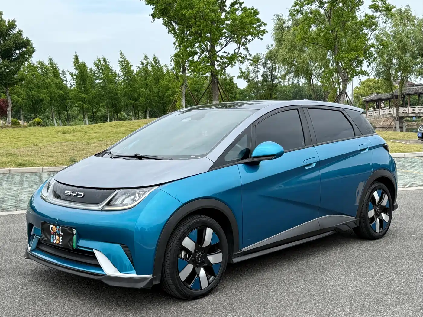 BYD Dolphin 2021 401km Knight Edition