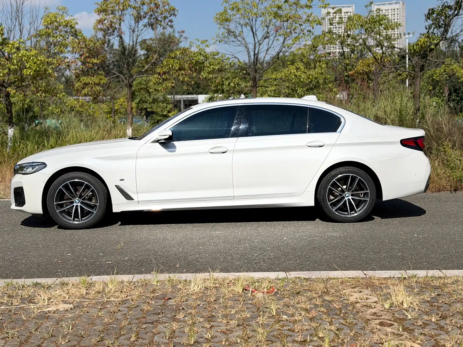 Photo 3 - BMW 5 Series