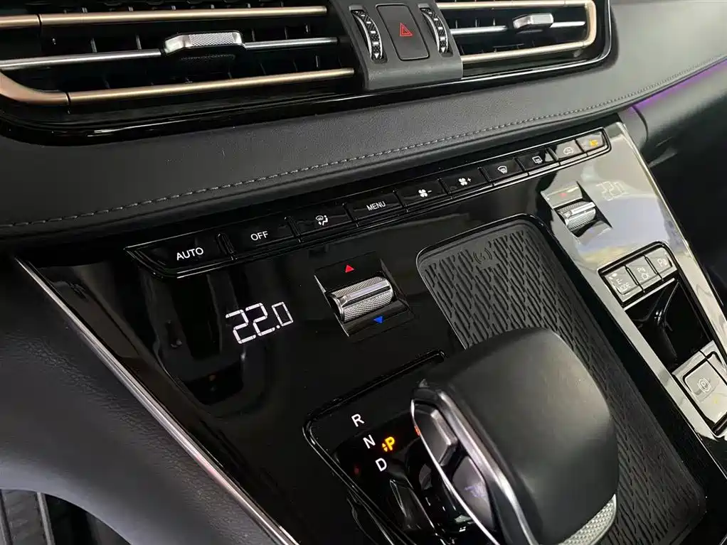 Hongqi HQ9 PHEV 2024 Model 2.0T AWD Luxury Edition фото 29