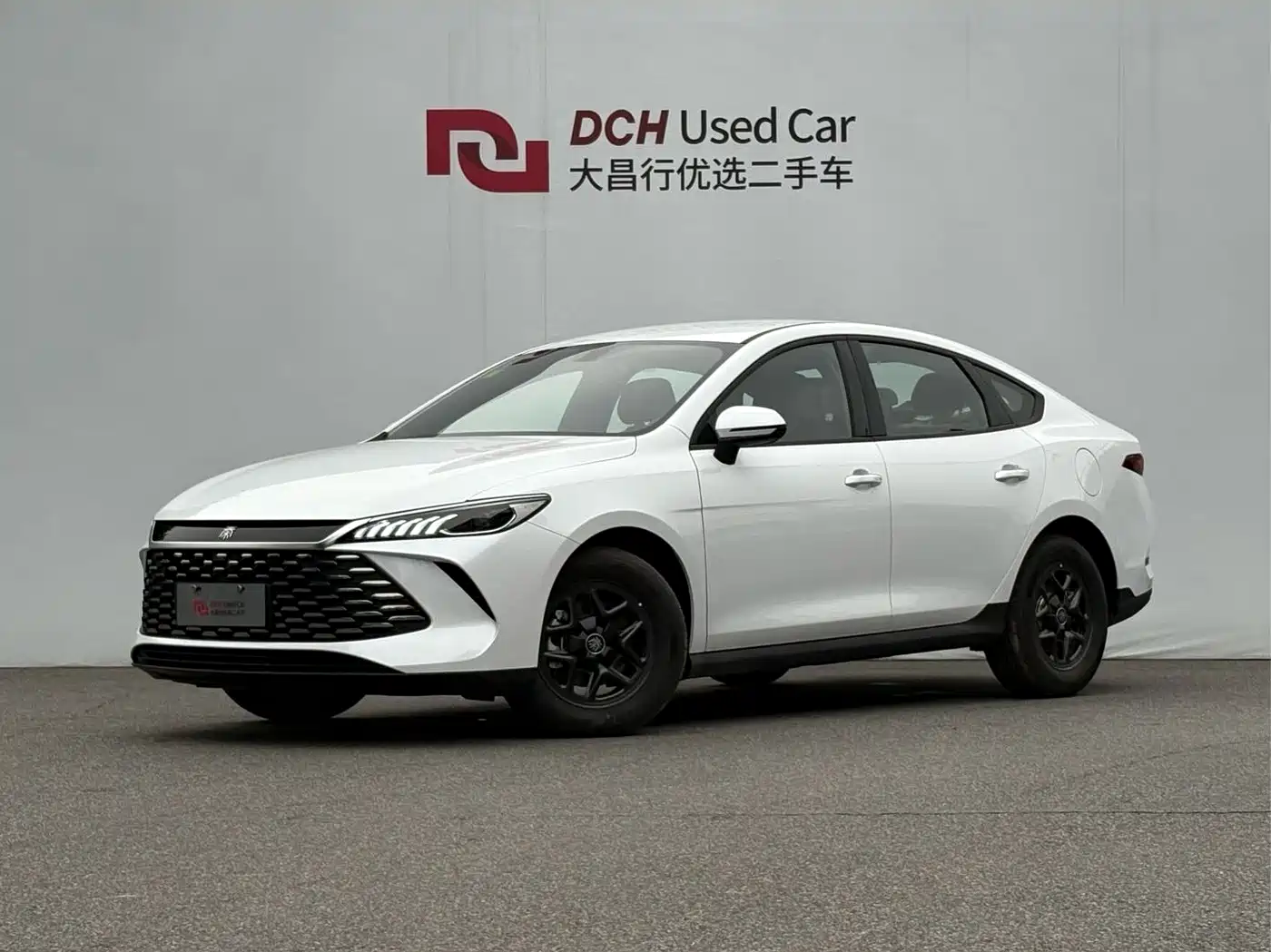 BYD Qin PLUS 2025 DM-i Smart Drive 55KM Leader