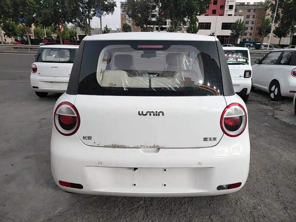 Photo 6 - Changan Lumin