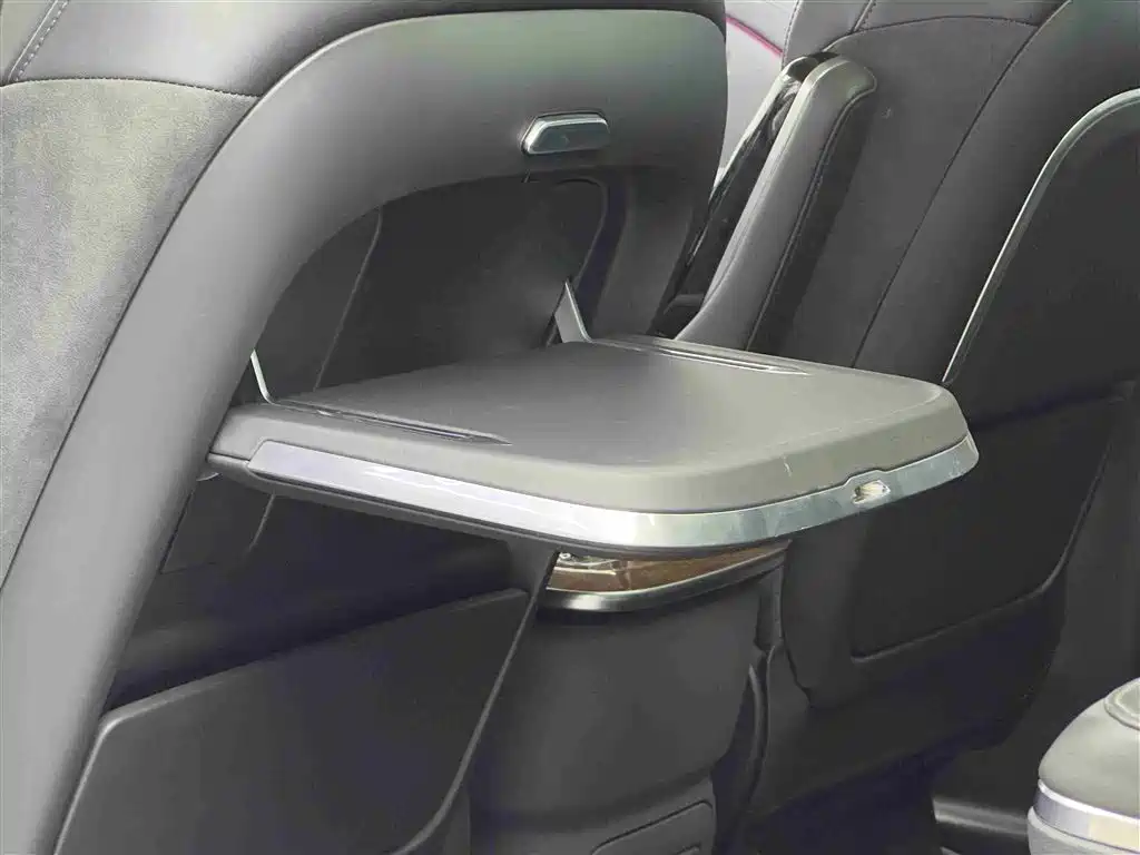 Hongqi HQ9 PHEV 2024 Model 2.0T AWD Luxury Edition фото 13