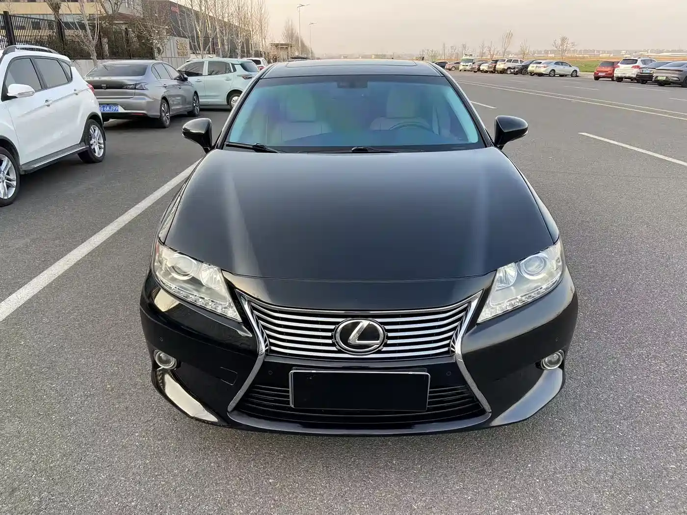 Lexus ES 2013 250 Luxury Edition фото 2
