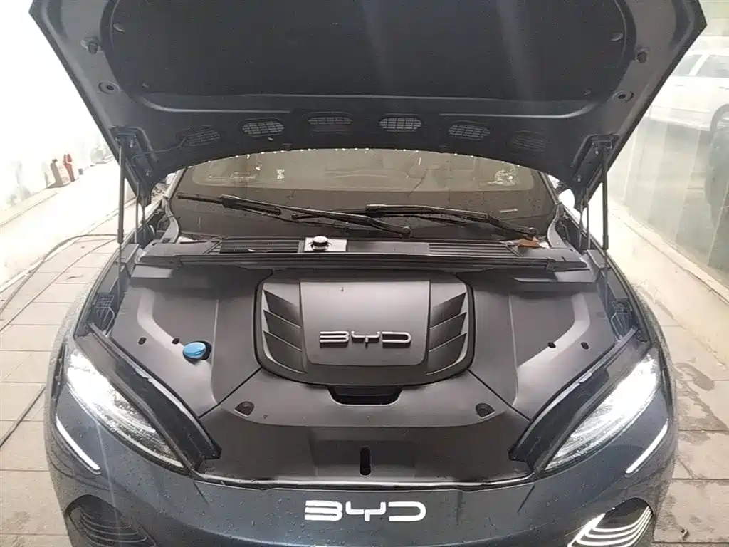 BYD Seal 2022 550km Standard Range RWD Premium фото 20