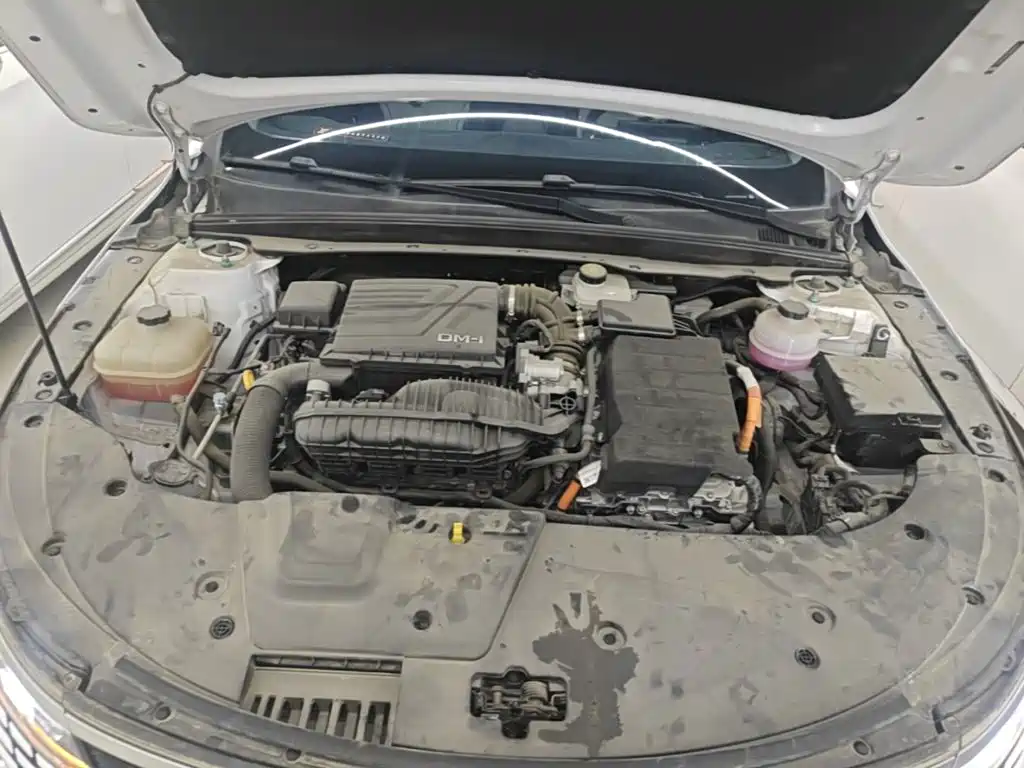 BYD Destroyer 05 2025 2024 Glory Edition DM-i 55KM Luxury