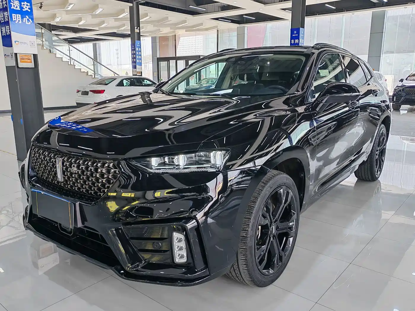 WEI PAI WEI BRAND VV7