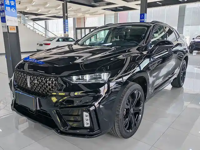 wei-pai wei-brand-vv7