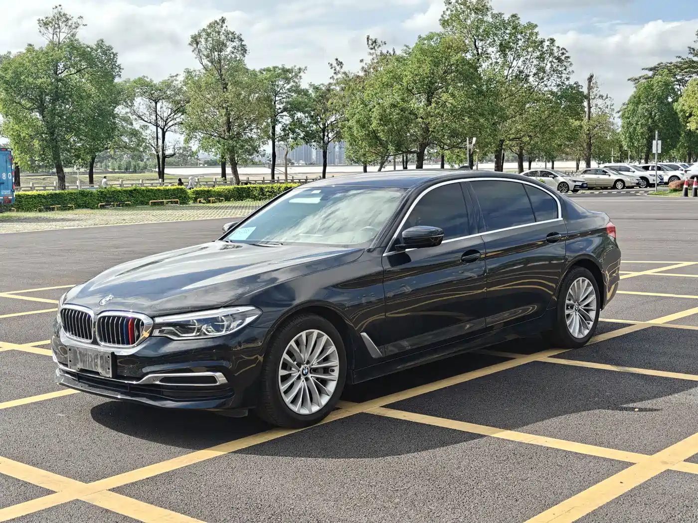 BMW 5 Series 2020 530Li Premium Luxury Package