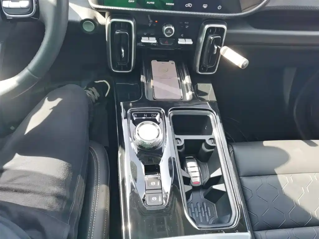 Haval Big Dog 2022 1.5T DCT FWD Border Collie Edition фото 14