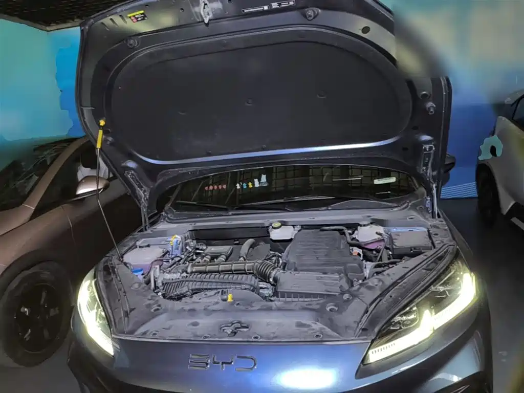 BYD Seal 06 New Energy 2024 DM-i 80KM Prestige фото 20