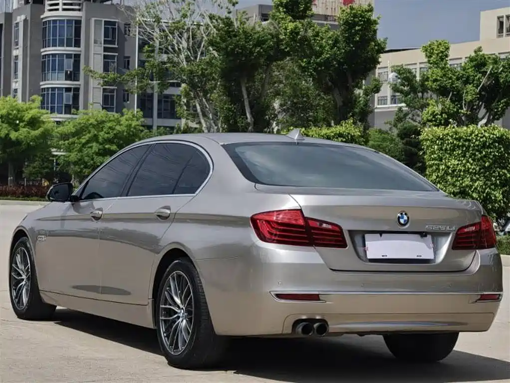 BMW 5 Series 2017 525Li Luxury Design Package фото 6