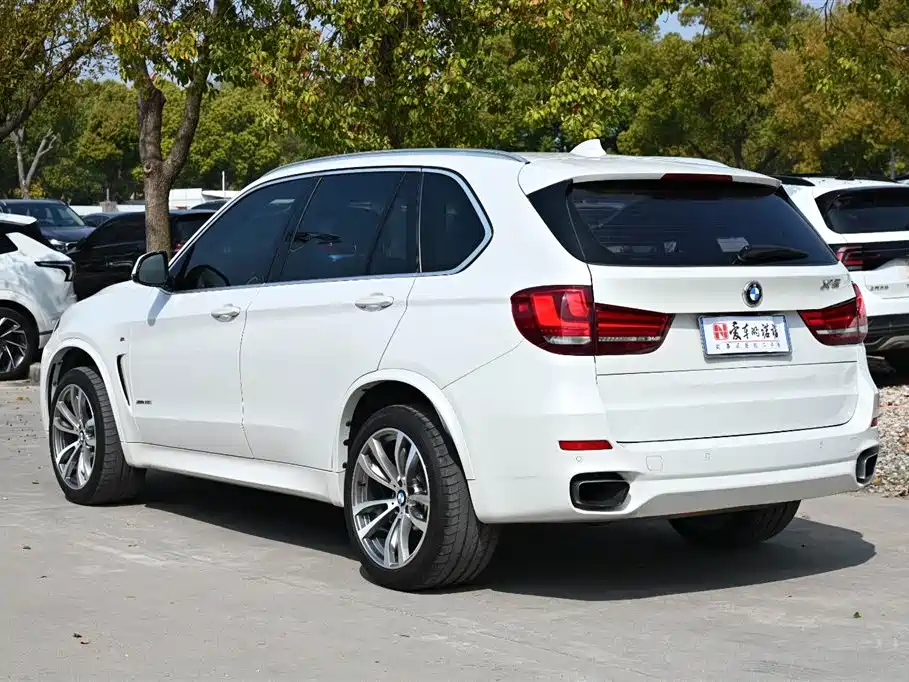 BMW X5 (Import) 2017 xDrive35i M Luxury Sport фото 4