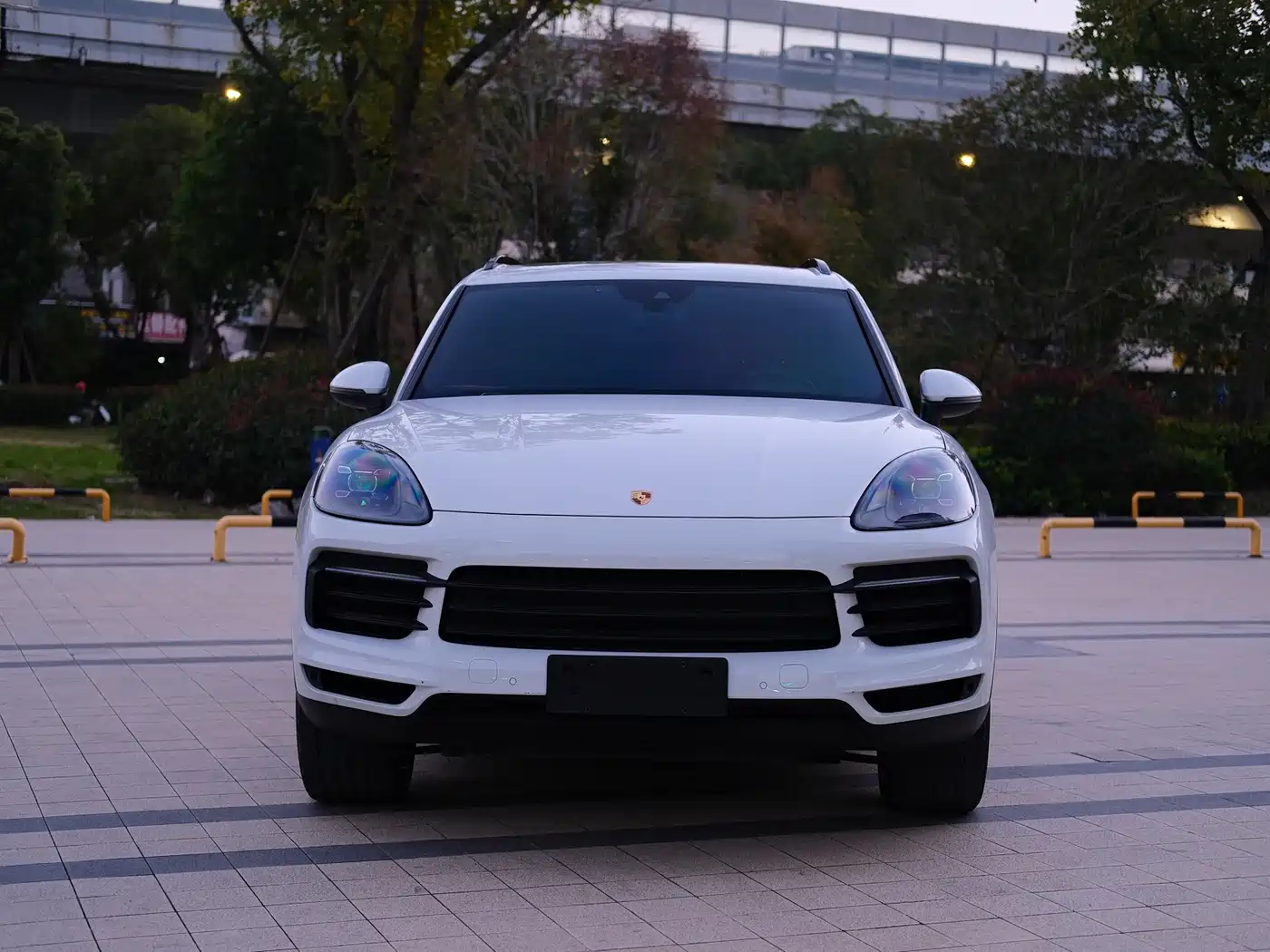 Porsche Cayenne 2019 Cayenne 3.0T фото 2