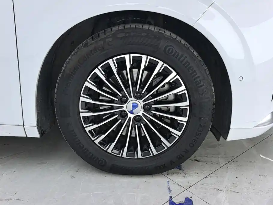 Denza D9 2023 2022 DM-i 970 AWD Flagship