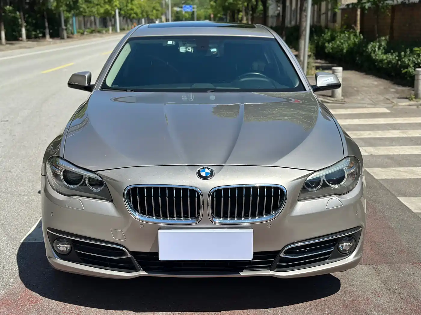 BMW 5 Series 2017 525Li Luxury Design Package фото 2