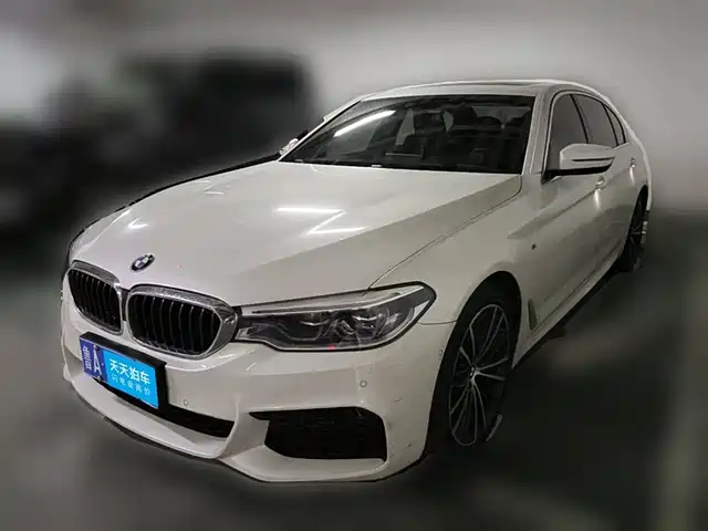 BMW 5 Series 2020 530Li Leading M Sport Package — фото 1