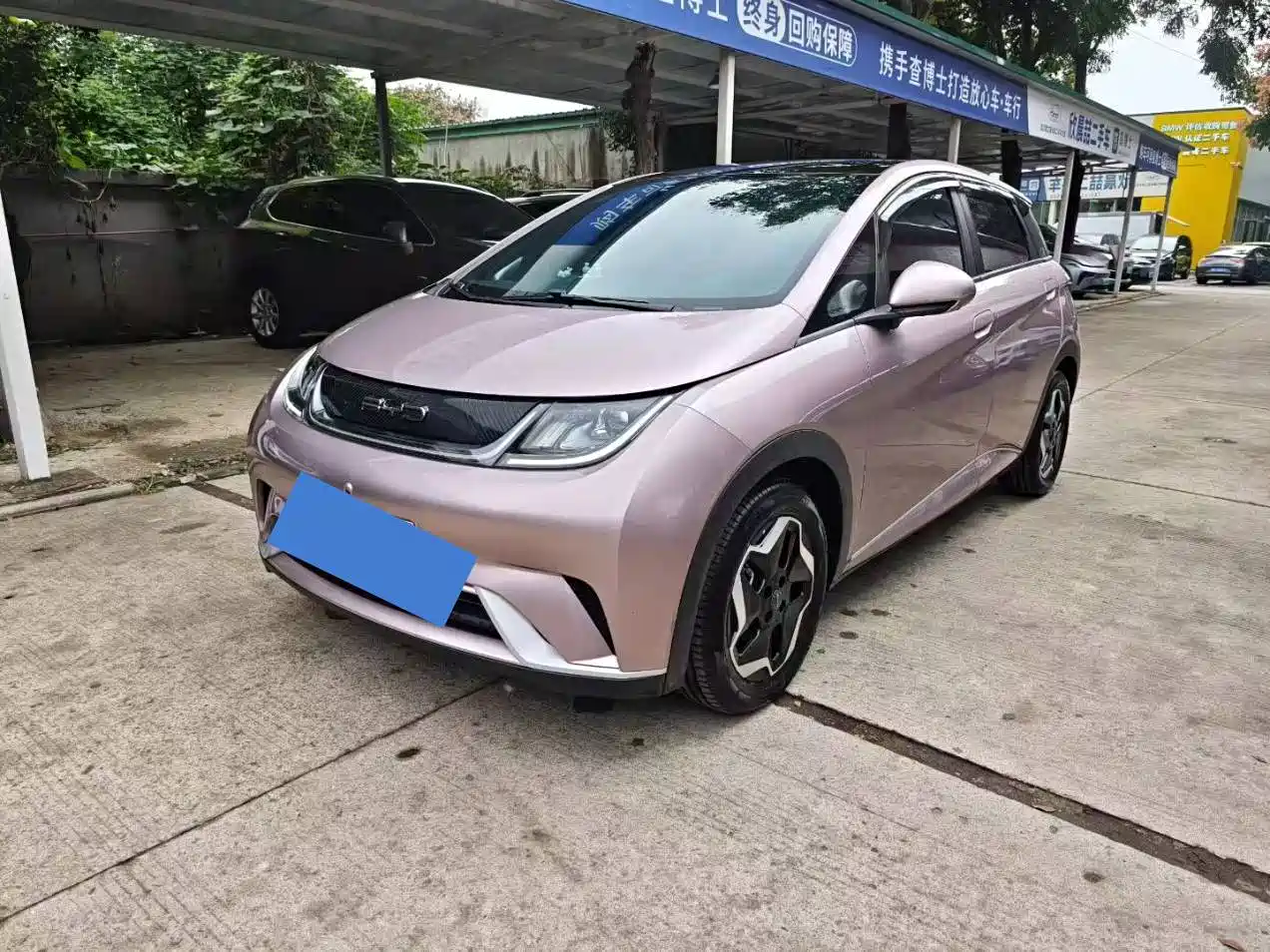 Фото 1 - BYD Dolphin
