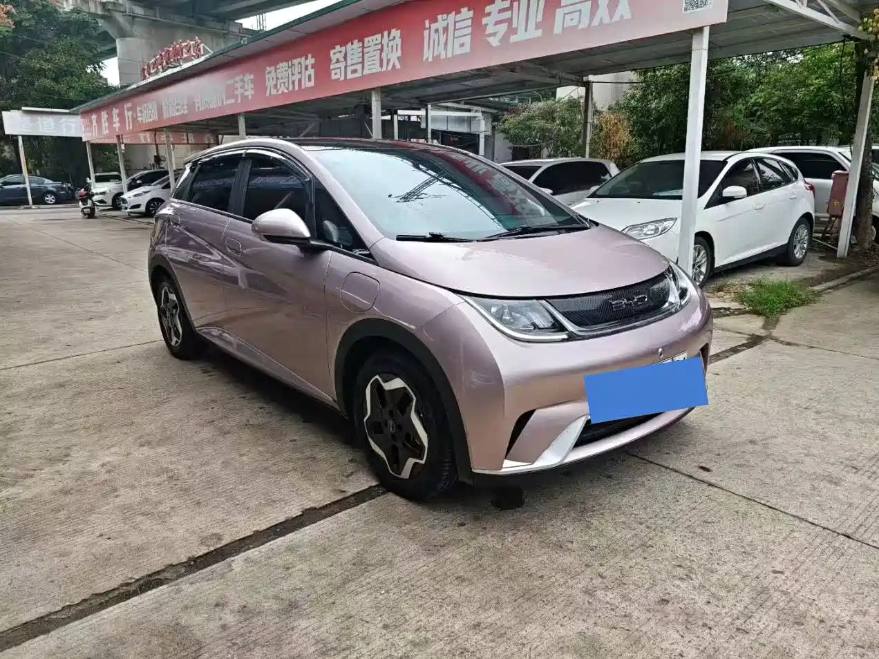 Фото 3 - BYD Dolphin