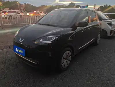 Wuling Bingo
