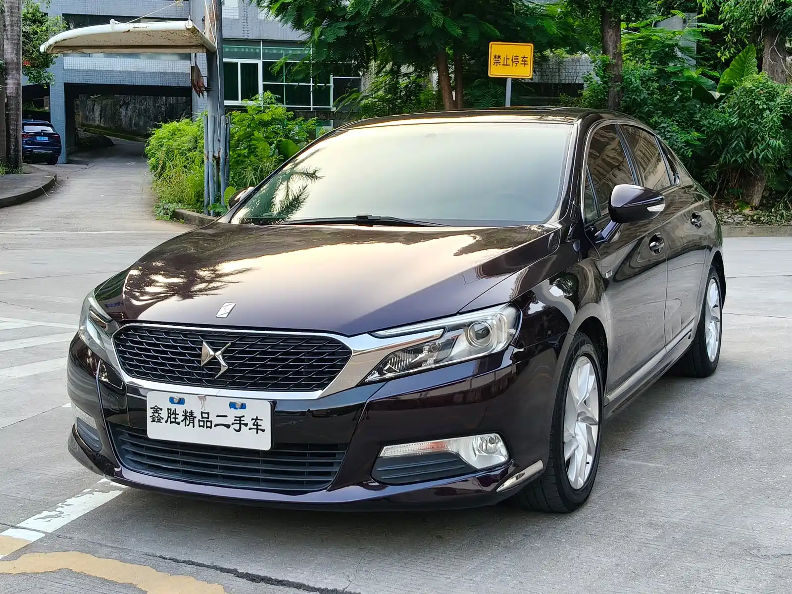 Фото 1 - DS 5LS