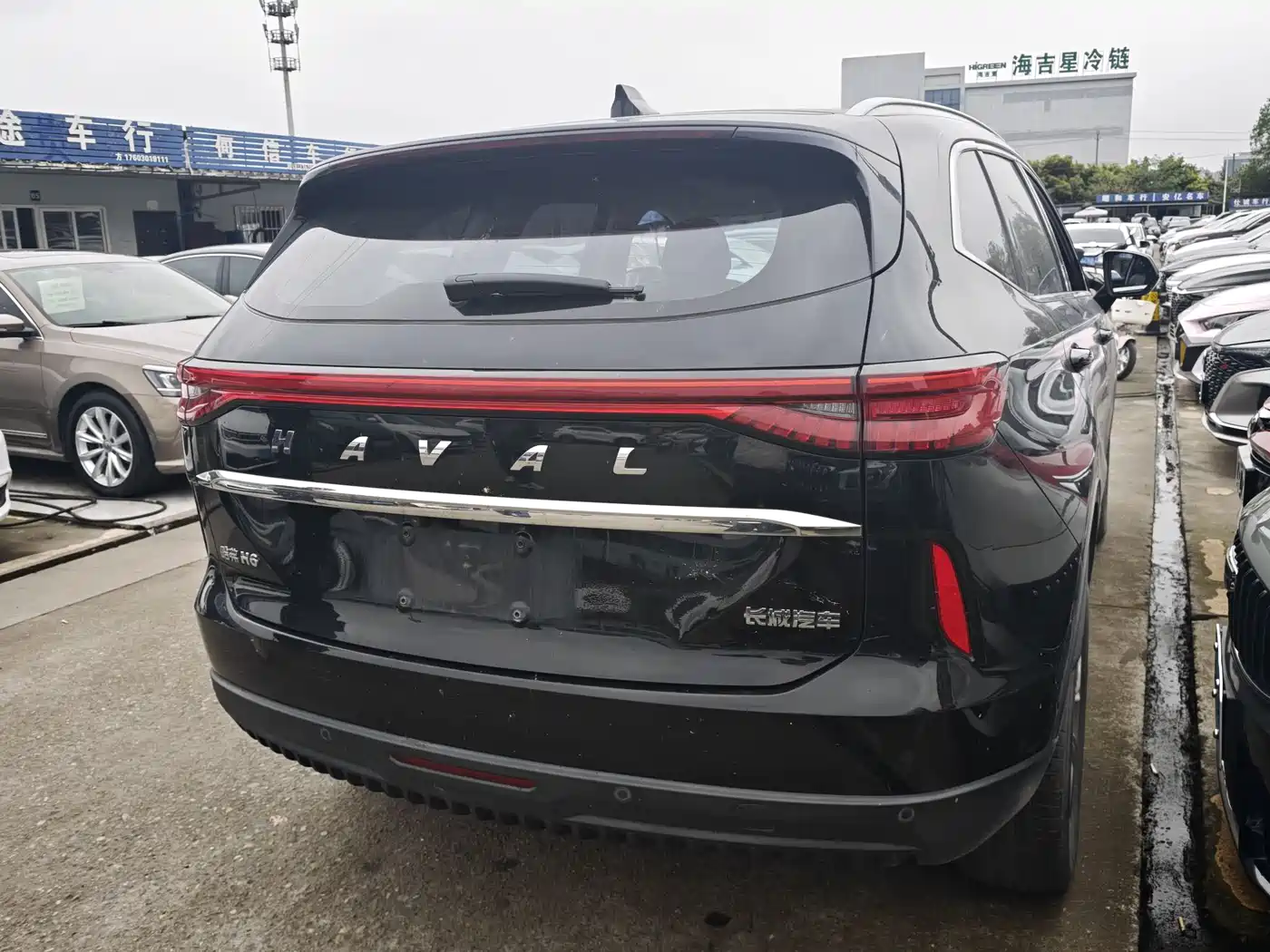 HAVAL H6