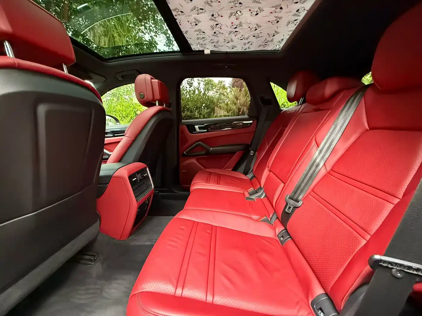 Porsche Cayenne New Energy 2019 Cayenne E-Hybrid 2.0T фото 6