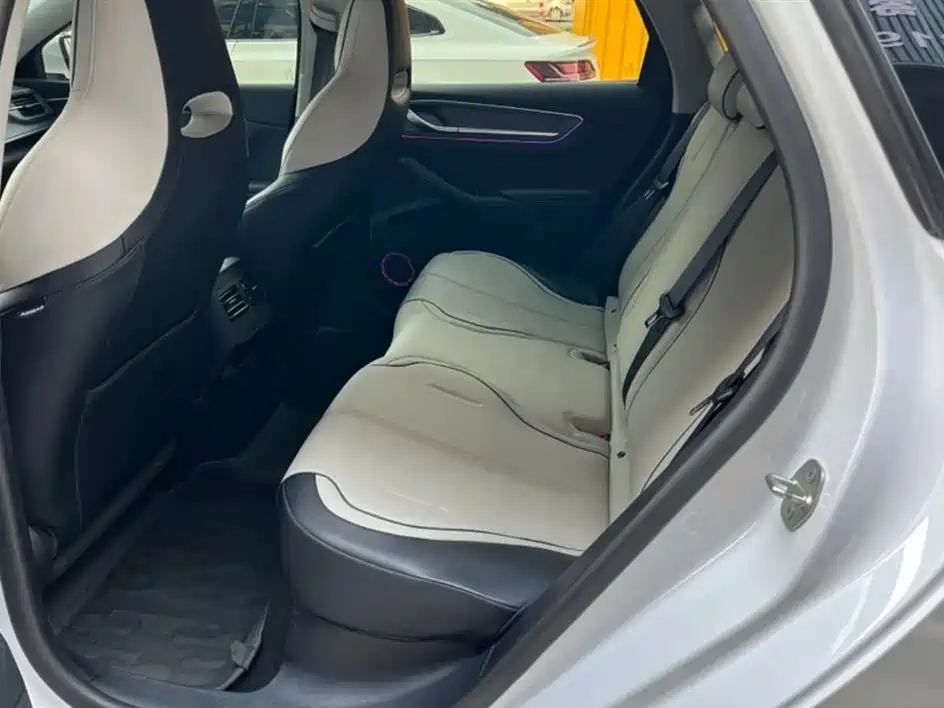 BYD Destroyer 05 2024 Glory Edition DM-i 55KM Luxury фото 12