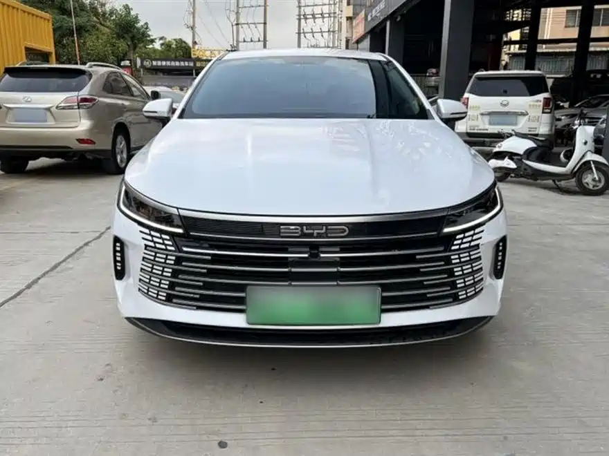 BYD Destroyer 05 2024 Glory Edition DM-i 55KM Luxury фото 3