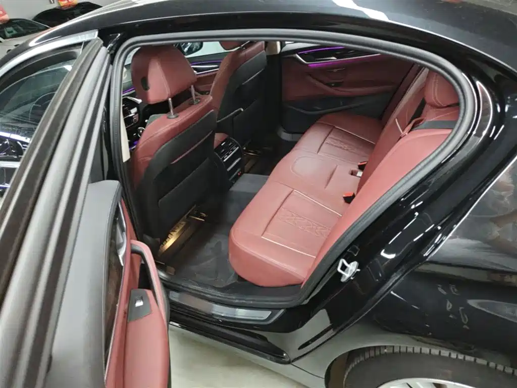 BMW 5 Series 2022 Model Second Facelift 525Li Luxury Package фото 13