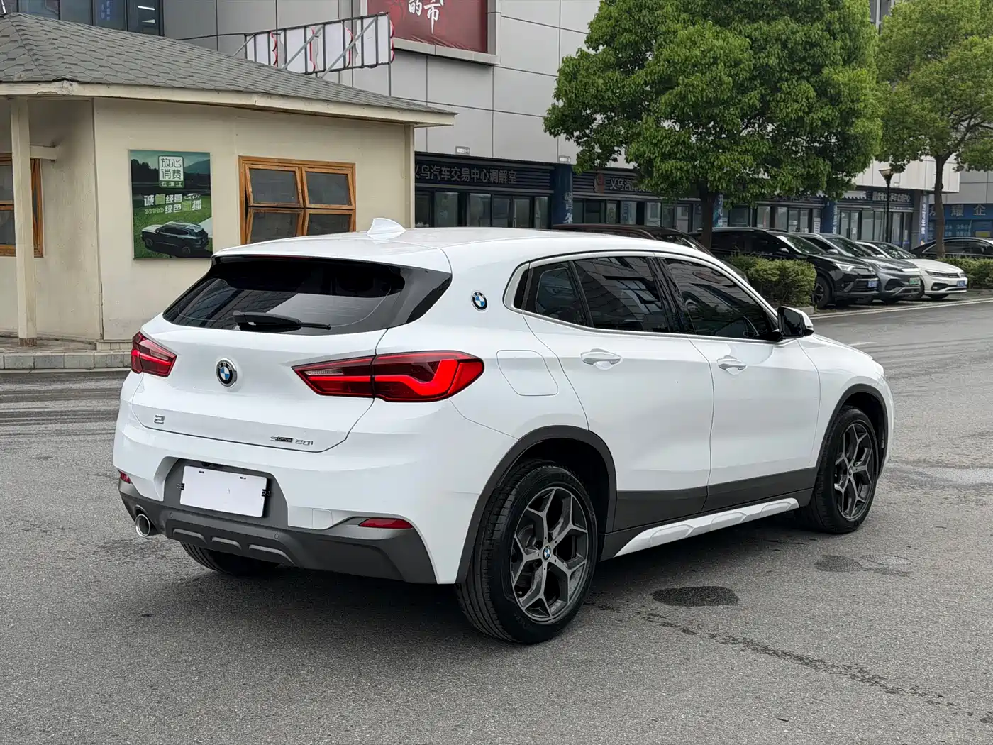 BMW X2 (Import) 2019 sDrive20i M Off-Road Package China VI фото 4