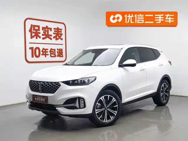 WEI PAI WEI BRAND VV6