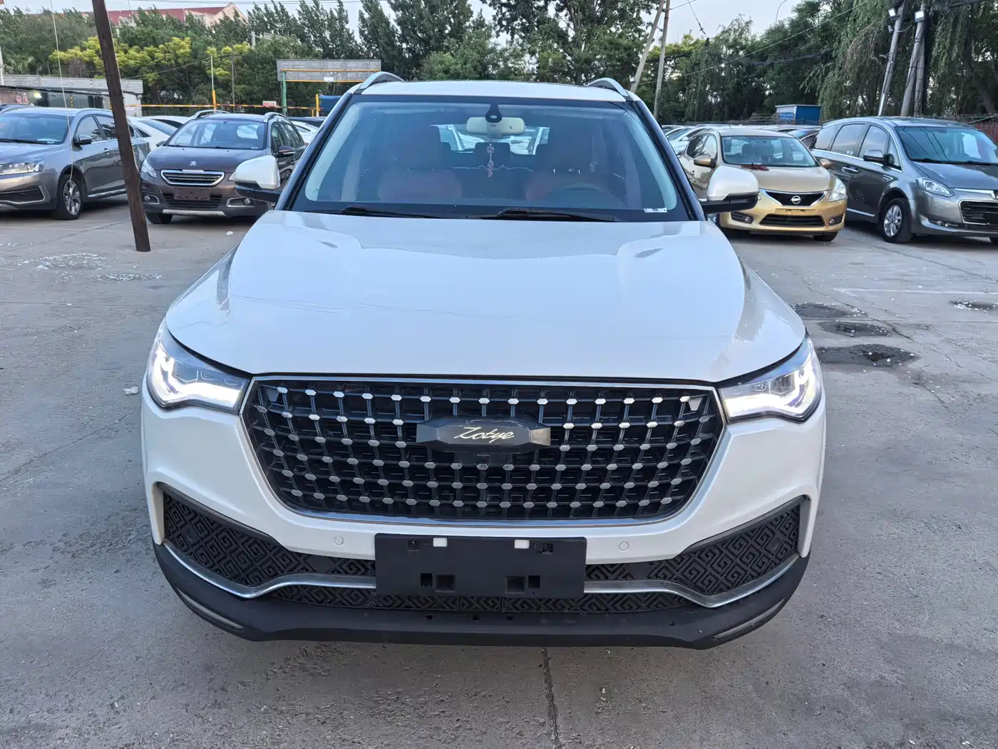 2019 Zotye T700