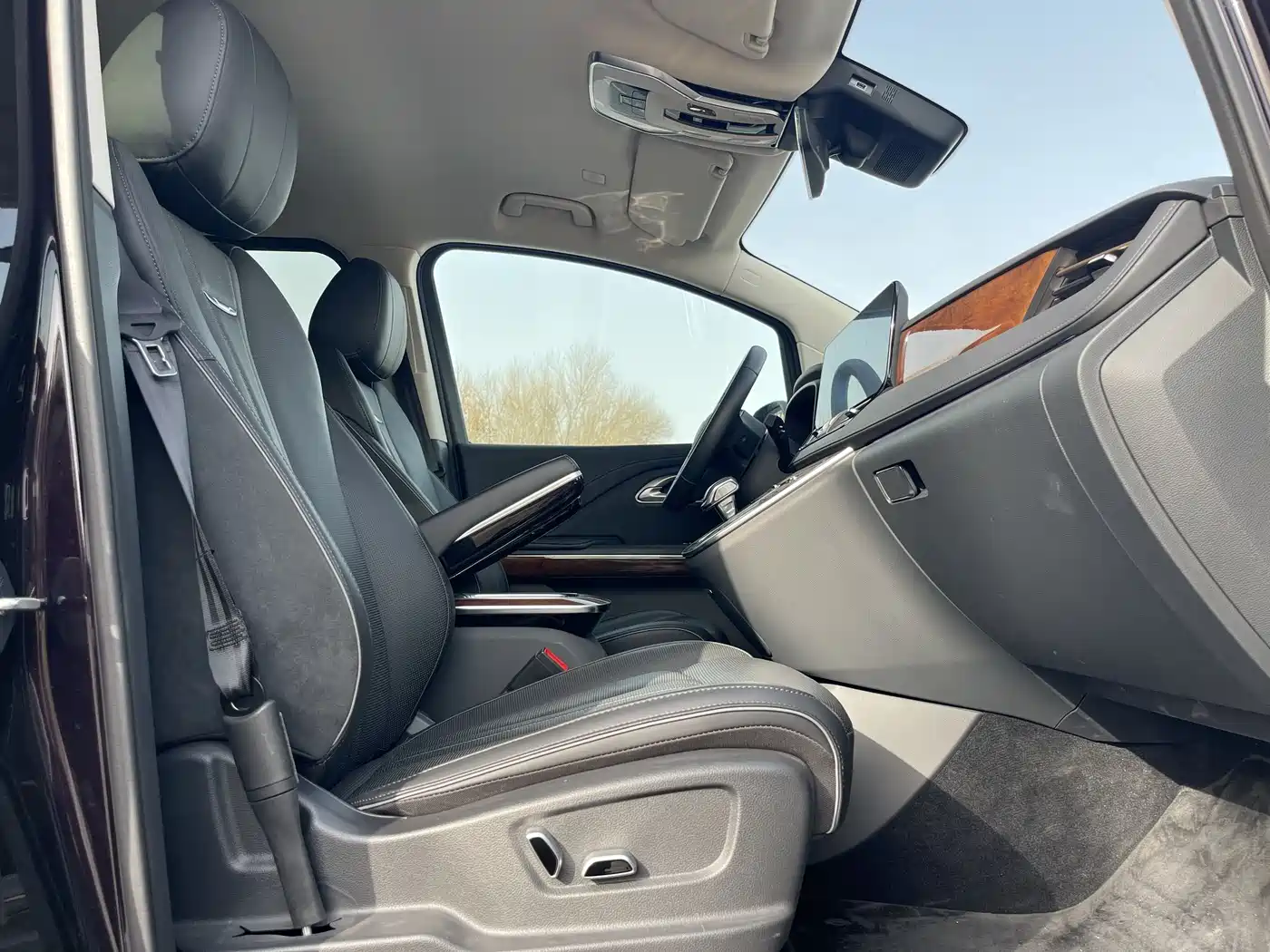 Hongqi HQ9 PHEV 2024 Model 2.0T AWD Luxury Edition фото 35