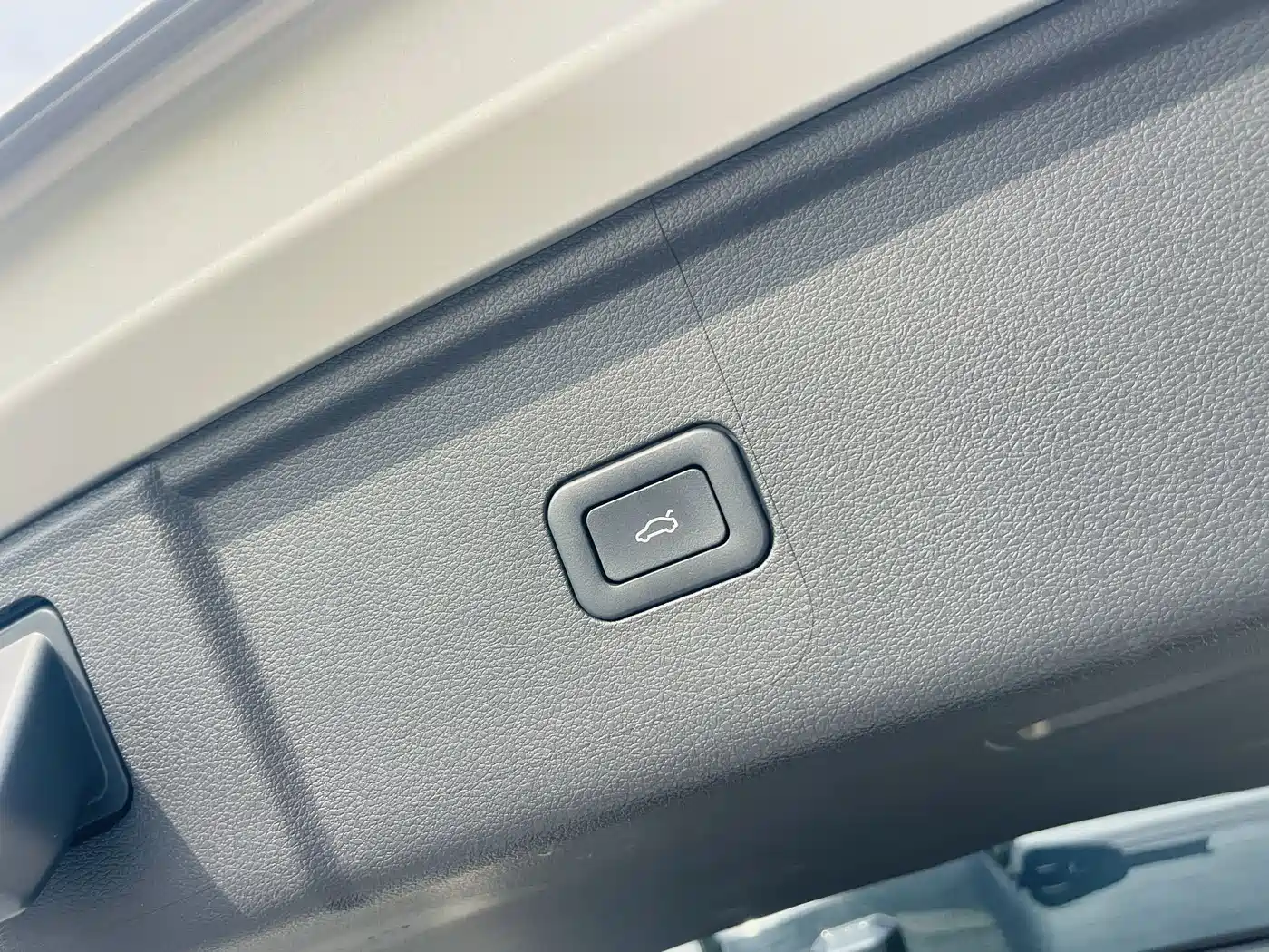 Hongqi HS5 2023 2.0T 4WD Flag Leader Pro фото 10