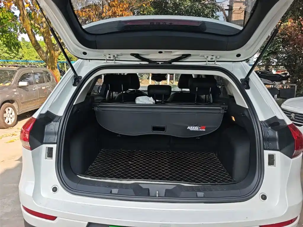 Haval H6 2020 1.5GDIT Automatic Platinum Champion Edition фото 19