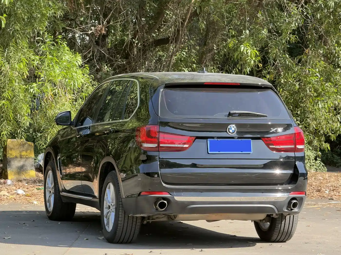 BMW X5 (Import) 2017 xDrive35i Leading Edition фото 18