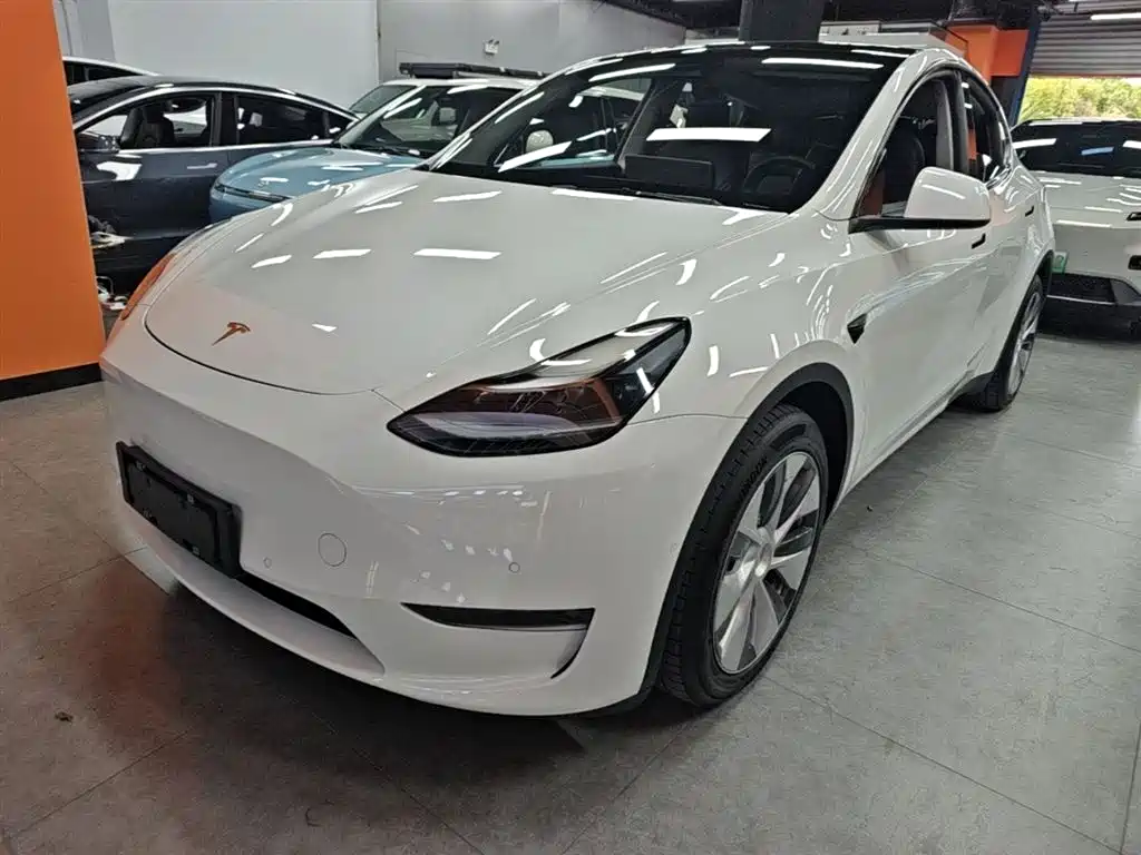 Tesla Model Y 2021 Standard Range Rear-Wheel Drive