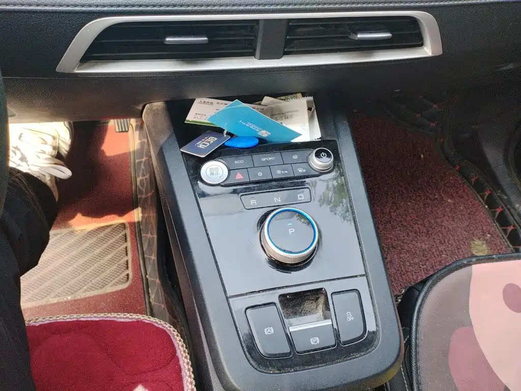 BYD e2 2020 2019 Long Range Yao·Luxury Model