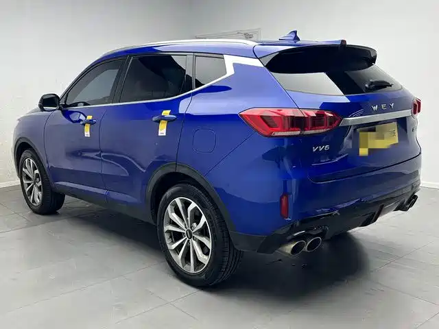 Фото 4 - WEY VV6
