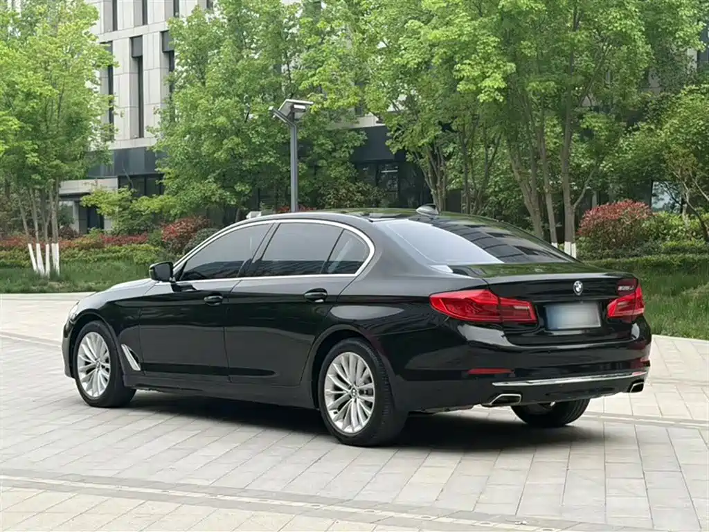 BMW 5 Series 2018 525Li Luxury Package фото 5