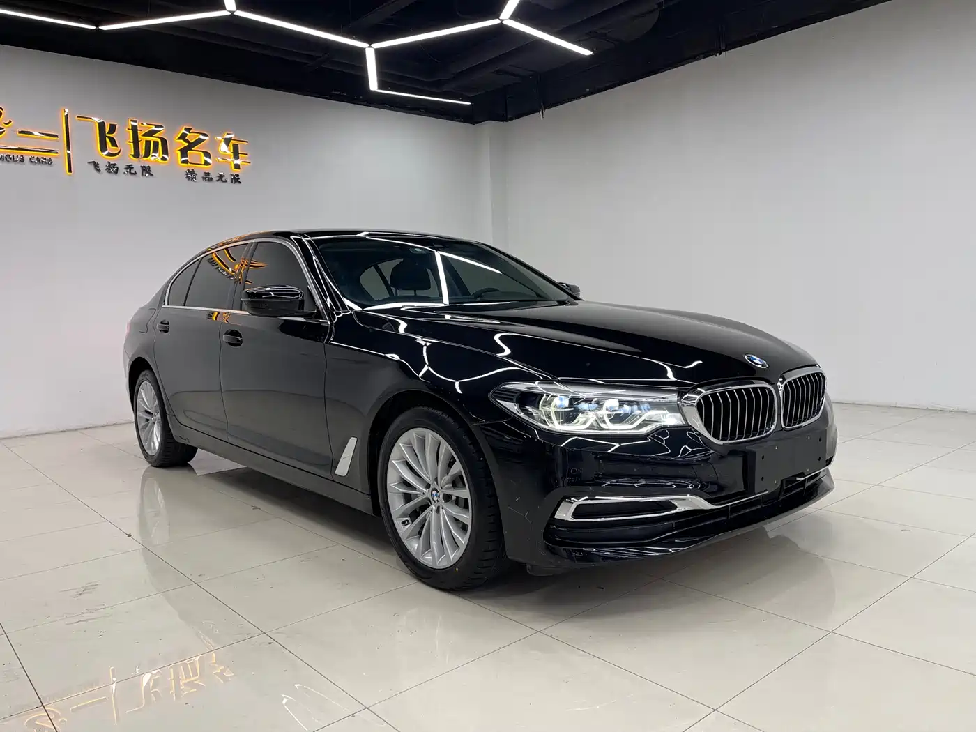 BMW 5 SERIES NEW ENERGY