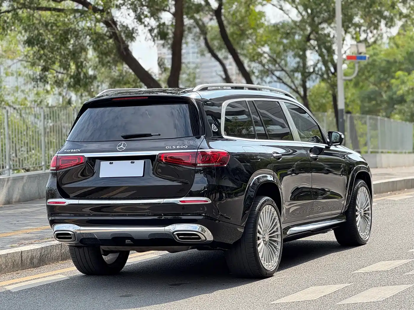 Mercedes-Benz Maybach GLS 2021 GLS 600 4MATIC Ritual Edition фото 3