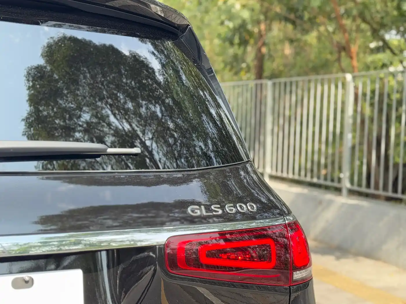 Mercedes-Benz Maybach GLS 2021 GLS 600 4MATIC Ritual Edition фото 20