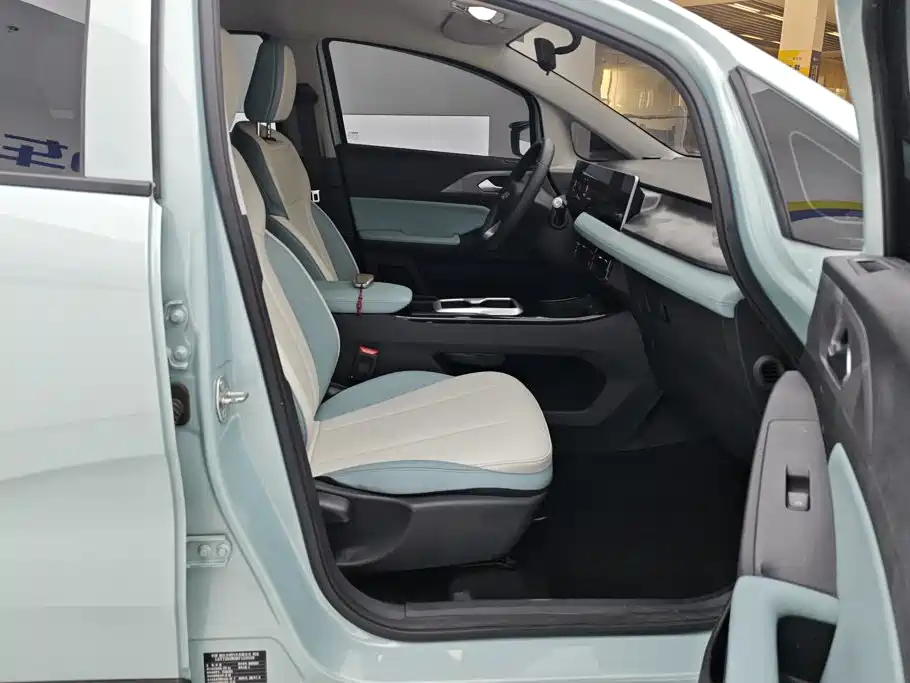 Geely Geometry E Firefly 2024 2024 401km Starlight