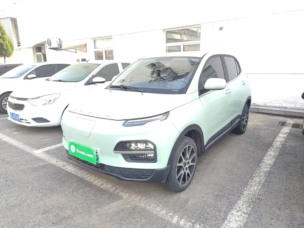 Dayun Yuehu 2022 2022 30.66kWh 2WD VIP Edition