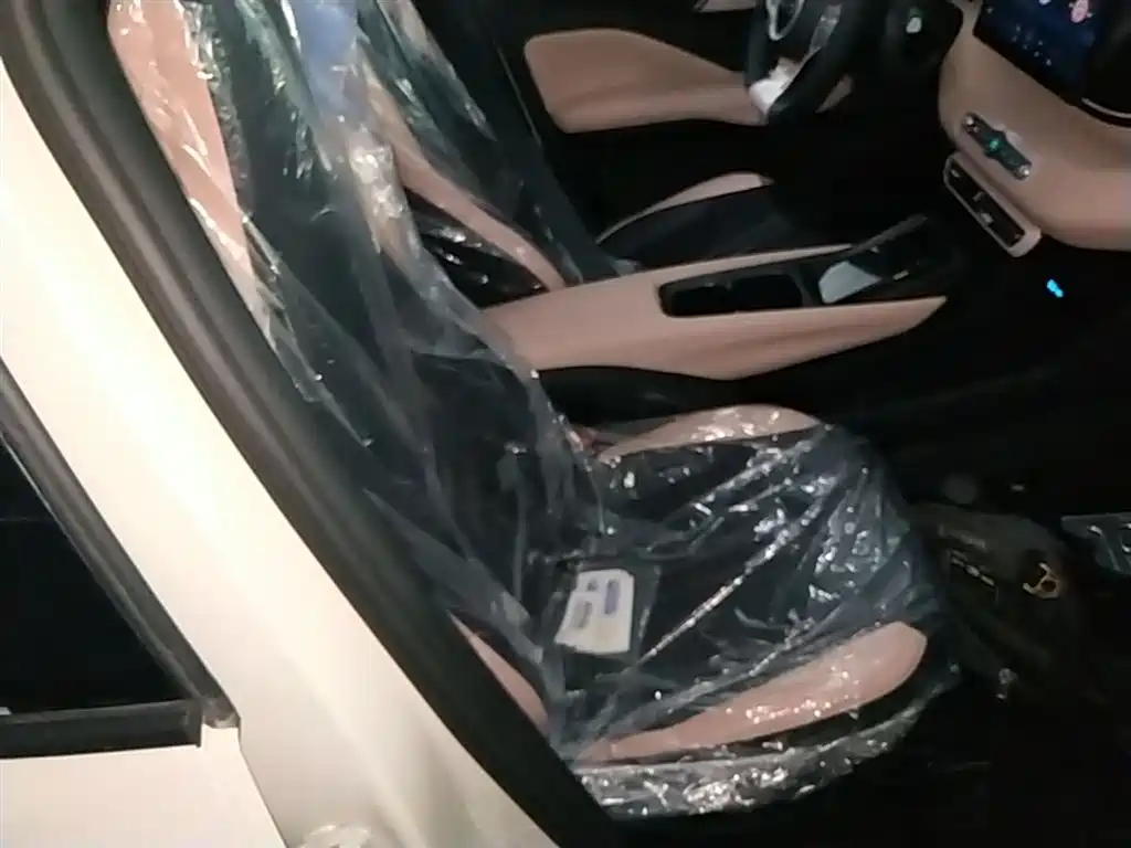 BYD Seagull 2026 2025 Smart Drive Edition 305km Vitality Version