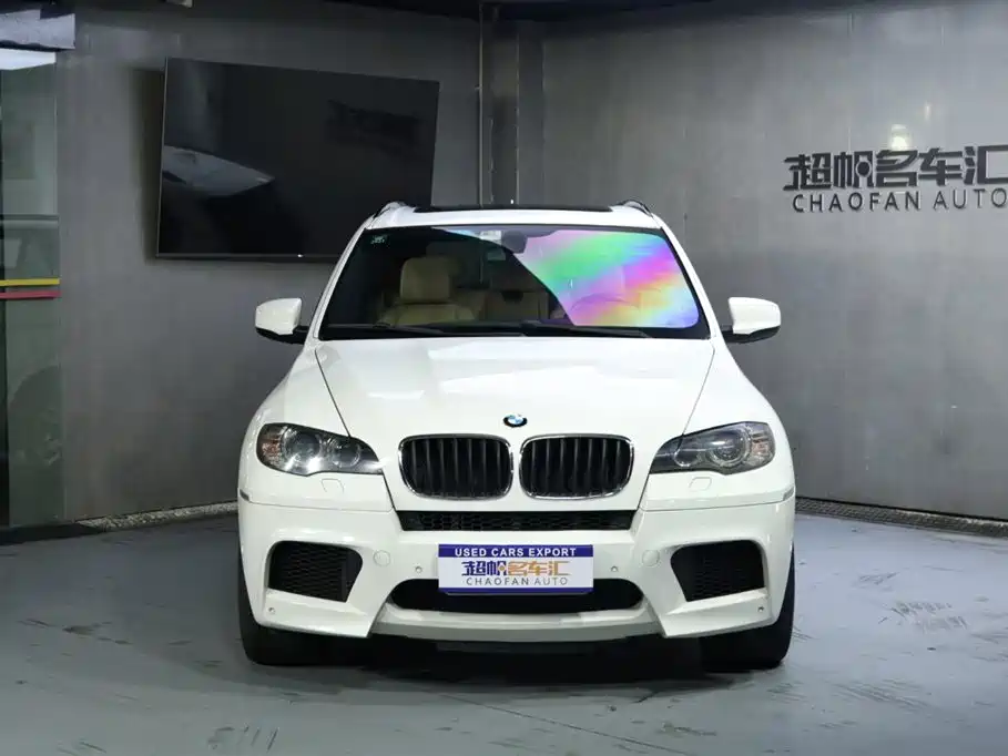 BMW X5 M 2010 X5 M фото 2