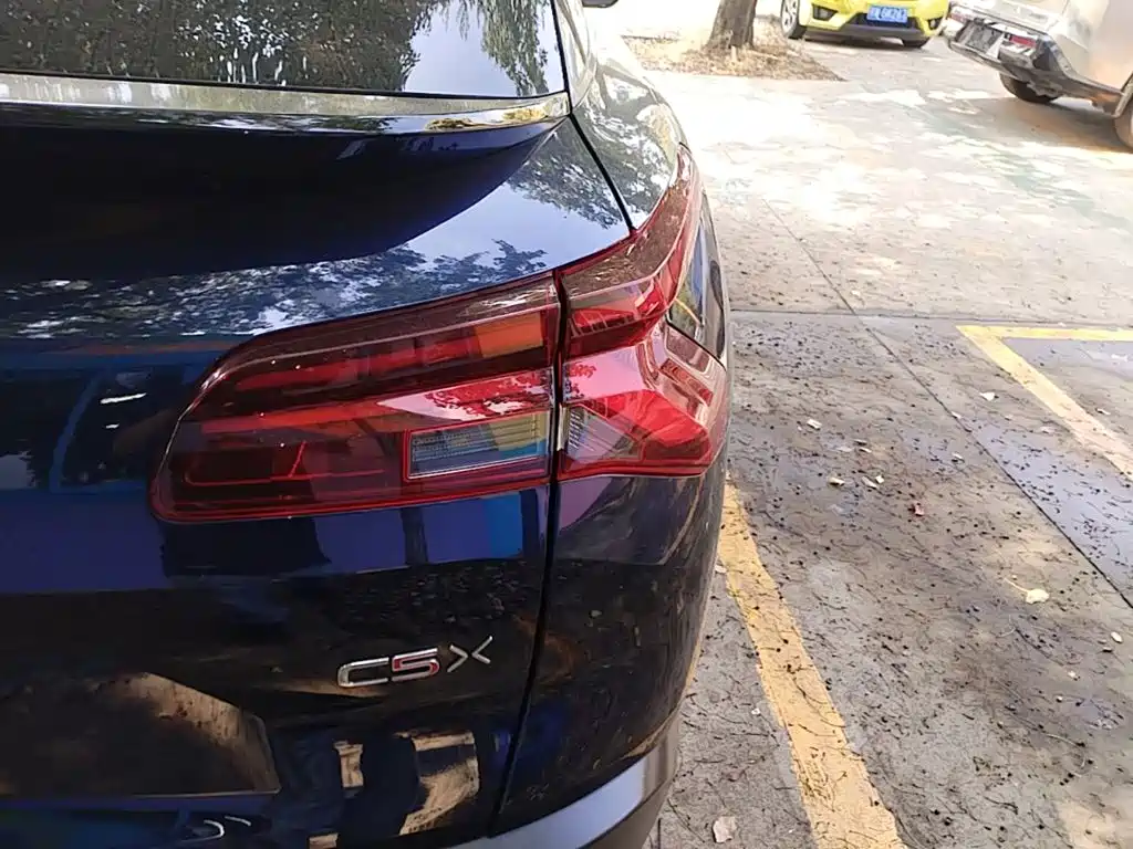 Фото 8 - Citroën Versailles C5 X
