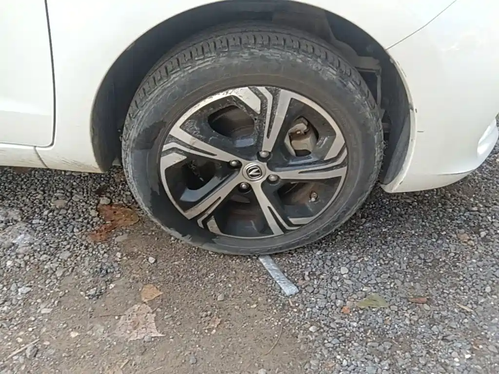 Changan Benben E-Star 2021 2020 Heartbeat Edition (NMC Battery)