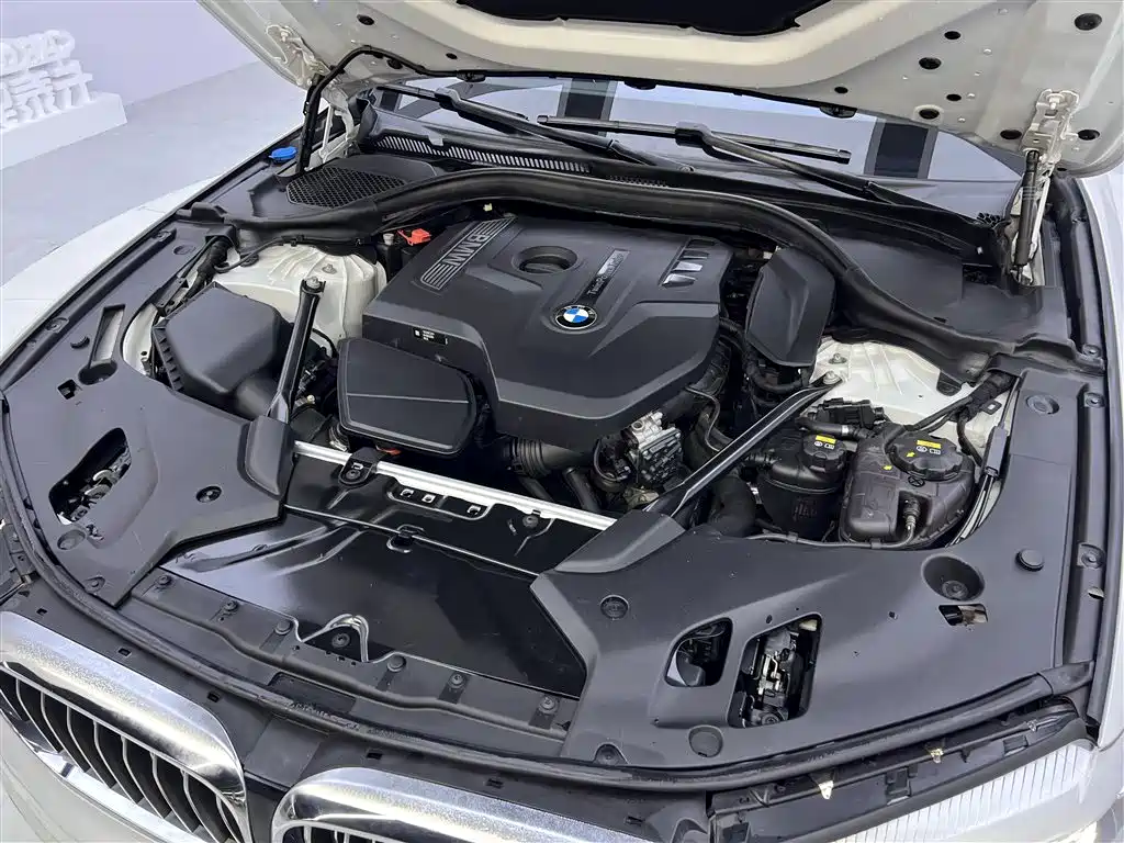 BMW 5 Series 2018 530Li Leading Luxury Package фото 12